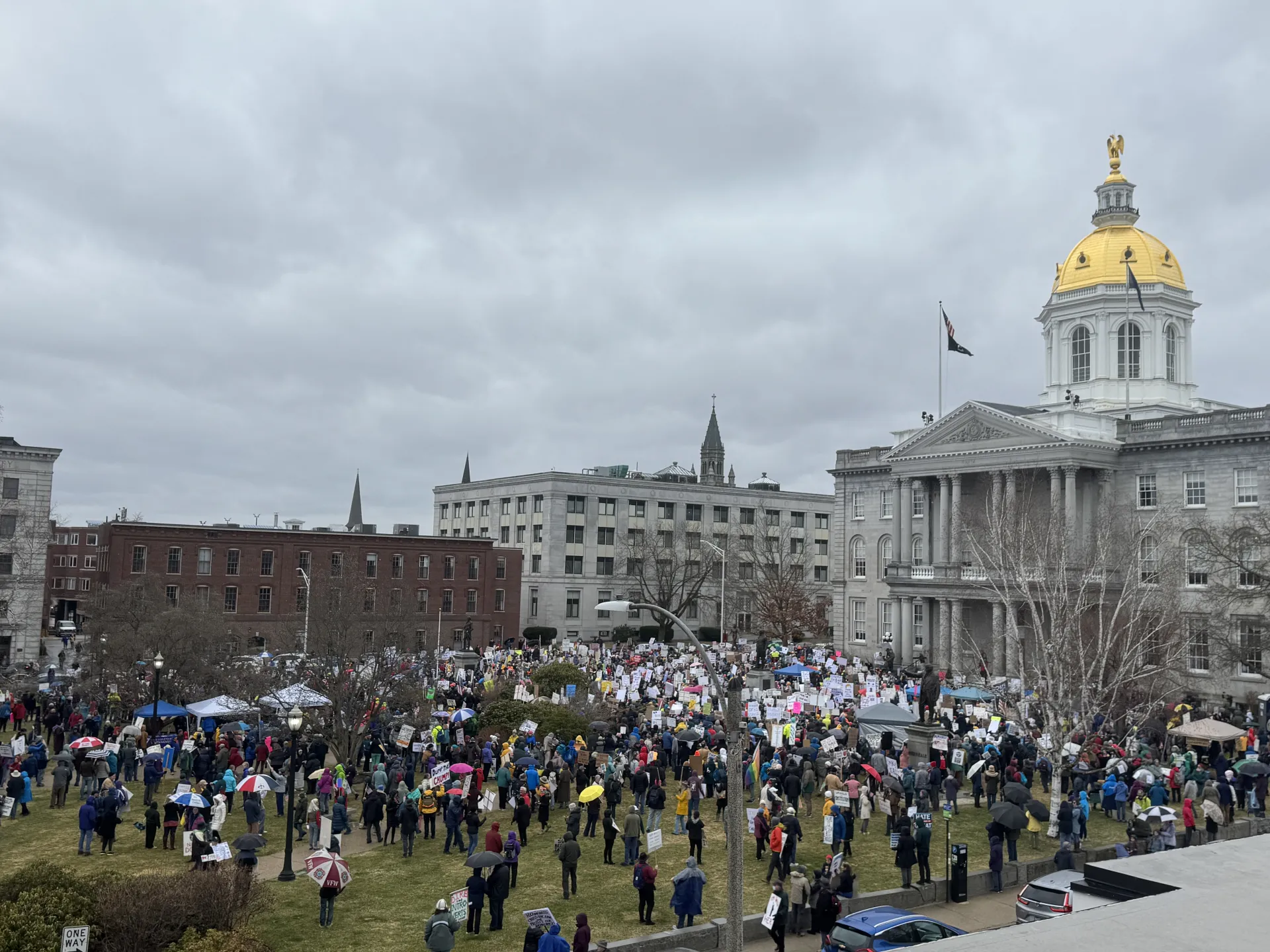 An image of thousands of Granite Staters gathered on the State House plaza for the 50501 #HandsOff rally.