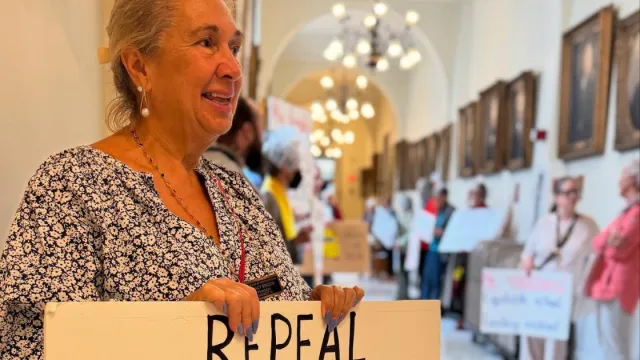 NEA-NH member advocating against vouchers at the statehouse